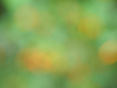 Tatil sezonunu kutlamak için doğal Bokeh 'ten soyut arkaplan turuncu ve sarı halkalı beyaz karışımı.