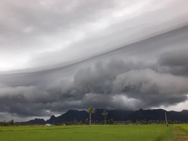 Gray Cumulonimbus cloud formations on sky above mountain, Nimbus moving with rice field,  Arcus cloud rolling in the storm with Appearance of rain cloud,  Meadow plant green while rain falling