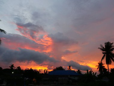 Palmiye ağacı silueti ve altın rengi bulut ile ev ve mavi gökyüzü sihirli saat gün batımında, ufuk mor ve kırmızı bulutlar ile turuncuya dönmeye başladı gece dramatik bulutlar alanı