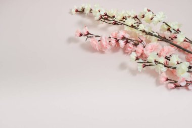 soluk pembe arkaplanda bahar çiçekleri, metin için boş alan, zarif bahar kompozisyonu, çiçek çerçevesi