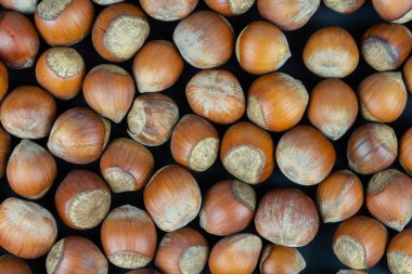 Fındık arka planı. Arka planda yemek olarak kullanılabilir.