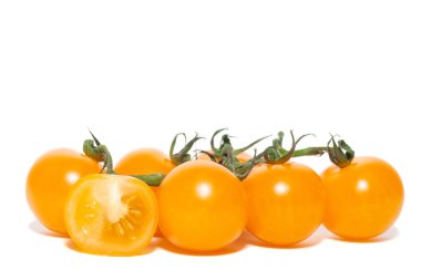 Beyaz arka planda sarmaşıkta taze sarı domatesler.