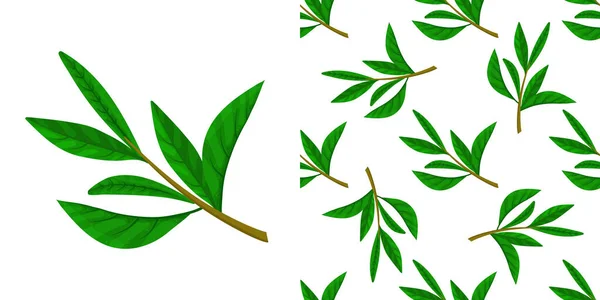 Seamless pattern with green tea leaves on white background. May used in fabric, wrapping paper. — Stock Vector