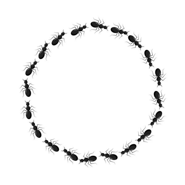 Ram från myror som går i en cirkel. Vägen myror på cirkel. Myrspår. — Stock vektor