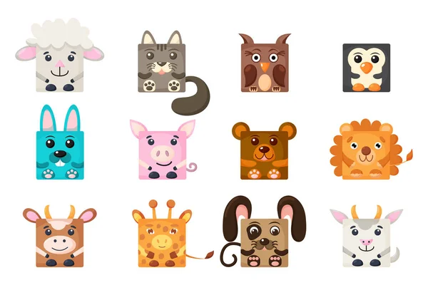 Square of animals imágenes de stock de arte vectorial | Depositphotos Square of animals imágenes de stock de arte vectorial | Depositphotos