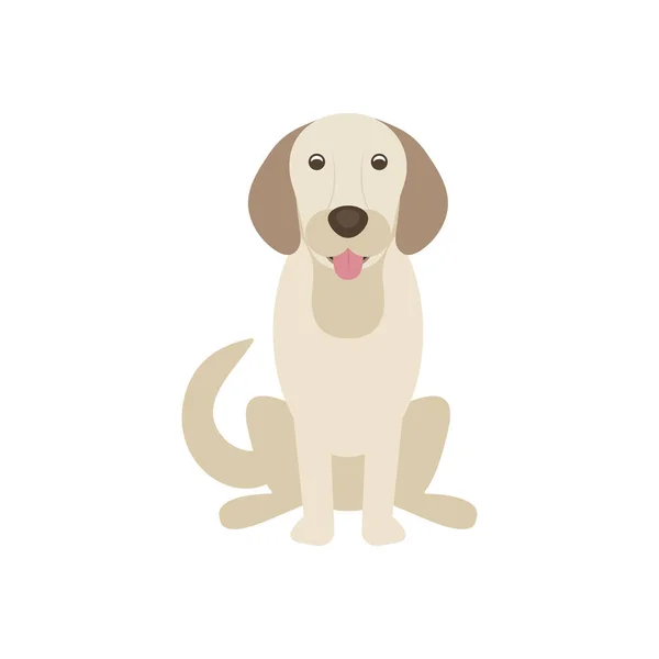 ベクトル犬 ラブラドールの取得 犬の黄金の色に隔離された座っている ベクターイラスト — ストックベクタ