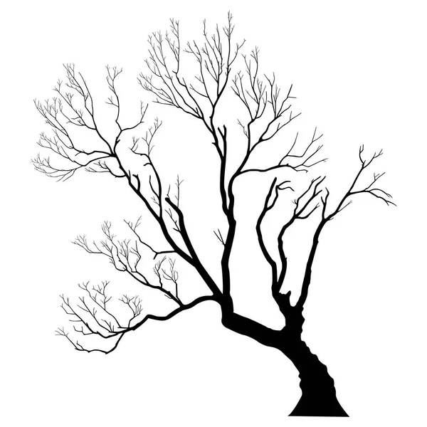 Ilustración Vectorial Silueta Árbol Desnudo Sin Hojas Estériles Muertos Sin — Vector de stock