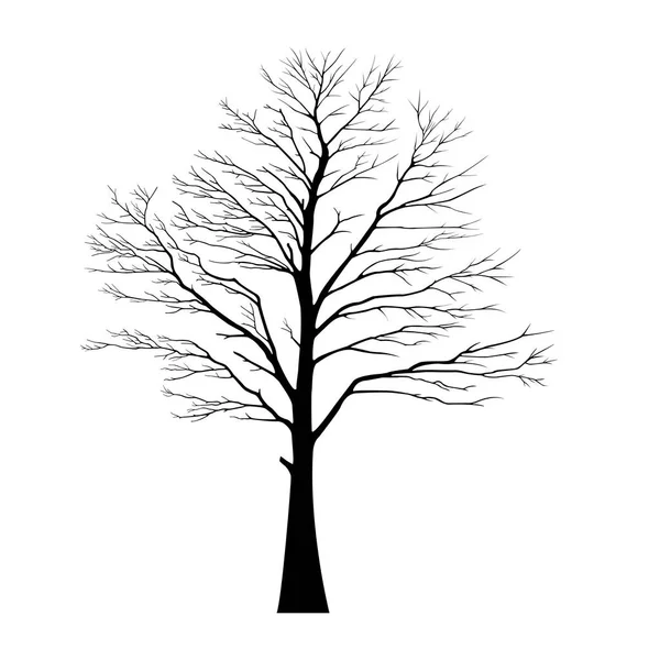 Vector Illustration Bare Tree Silhouette Barren Leaves Dead Scary Black — Stock Vector