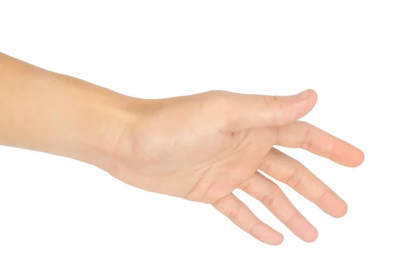 Gesten Und Symbole Der Linken Hand Isoliert Auf Weißem Hintergrund — Stockfoto
