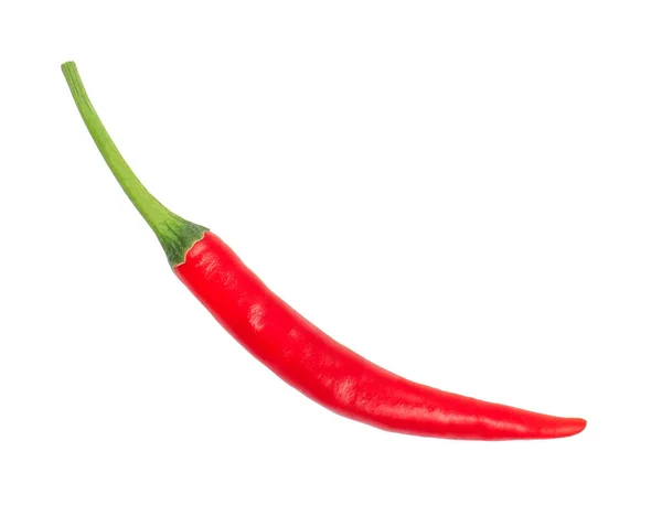 Ovanifrån Färsk Röd Chili Kryddiga Kryddor Begreppet Råa Livsmedelsingredienser Isolerad — Stockfoto
