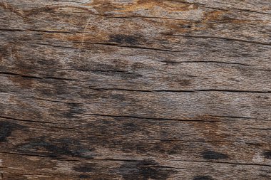 Kapana kısılmış bir gövdenin dokusu olarak kullanılabilecek yakın plan görüntüsü.