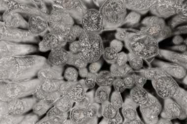 ağaç gövdesine sahip siyah-beyaz soyut arkaplan