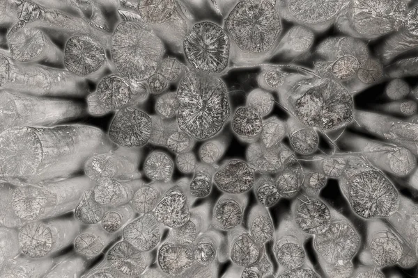 ağaç gövdesine sahip siyah-beyaz soyut arkaplan