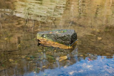 Bir gölün ortasında bir taş var. izole taş