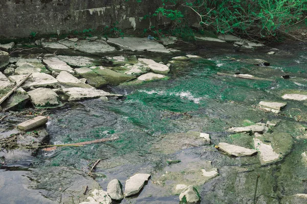 森の中に石がある川 — ストック写真