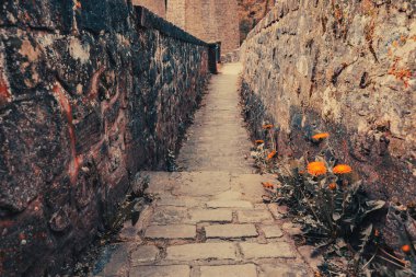 Gün batımında parkta taş patika.