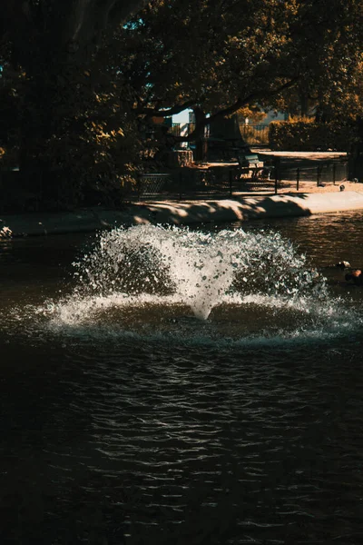 Su jeti parkın ortasında, gün batımında.