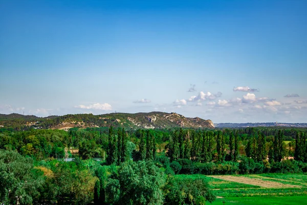 Yazın dağların ve ormanın manzarası