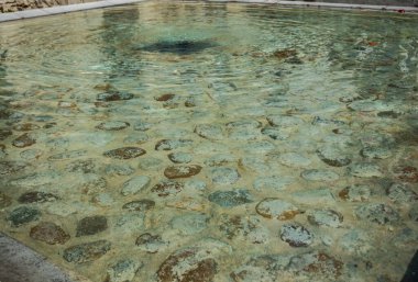 Sudaki deniz. Sahilin penceresinden manzara..