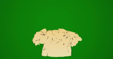 Yeşil arkaplanda yangın hücresi gölgesi izole edildi