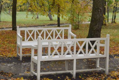 Parktaki beyaz banklarda sarı sonbahar yaprakları var. Penza bölgesindeki Tarkhany arazisine park et. Rusya