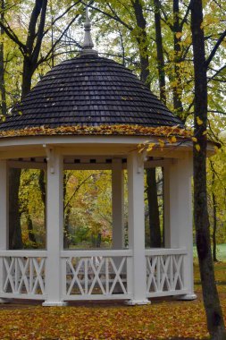 Tarkhany Park 'taki çardak, Rusya' nın sonbaharında Penza bölgesi.