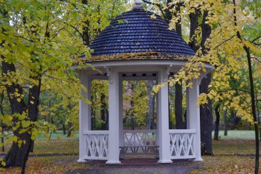 Tarkhany Park 'ta çardak, Sonbaharda Penza Bölgesi