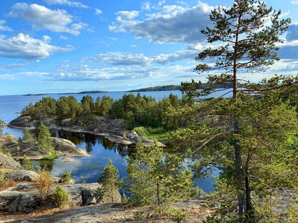 Карелия. Россия. Пейзаж. Ладожские шхеры, сосны на скалистых берегах Ладожского озера