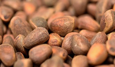 Soyulmamış çam fıstığı çekirdekleri ahşap bir masaya saçılmıştır. Boşluğu kopyala. 