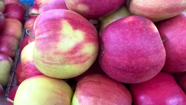 Червоні апетитні яблука на лічильнику ринку — стокове відео