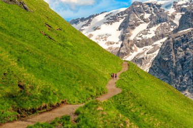 Yazın çimenli ve dağlı manzara