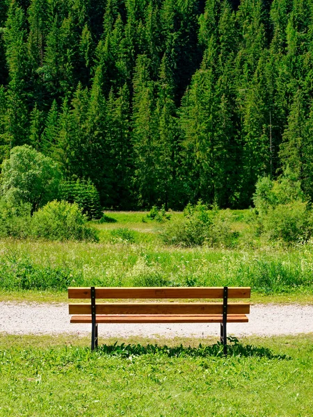 夏のバックビューの公園の空きベンチ — ストック写真