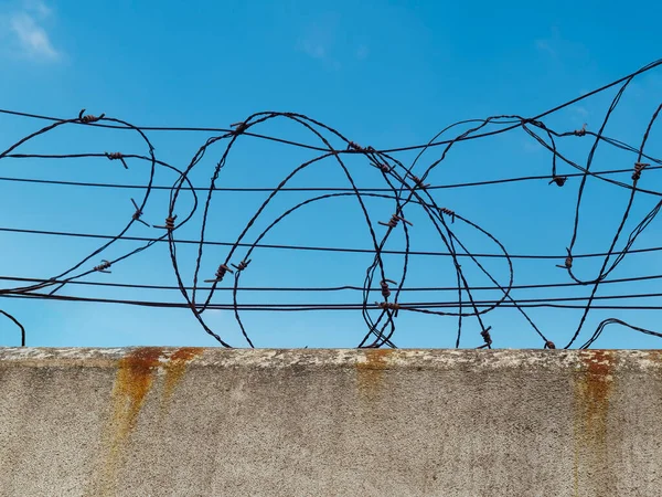 Бетонная Стена Колючей Проволокой Концепция Тюрьмы Спасение Беженец Одинокий Копировальное — стоковое фото