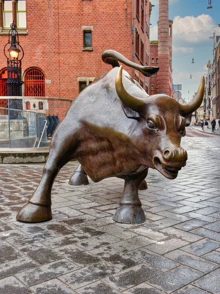 アムステルダムの証券取引所の外の株式市場の強気の像 — ストック写真