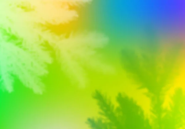 Vector Vibrant Gradient Background cu ramuri de brad de Crăciun. Fundal abstract cu elemente de Anul Nou neclare — Vector de stoc