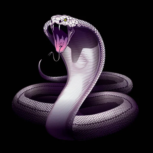ヘビだ ホワイトコブラ 白地に隔離された彫刻技法で蛇のベクトル手描きイラスト オカルトポスター Tシャツプリント カバー — ストックベクタ