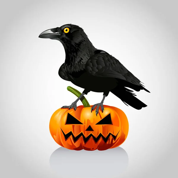 Hand Drawn Halloween Crow Pumpkin Illustration Raven Pumpkin — Stock Vector