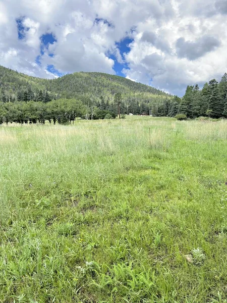 Büyük çayır tepesinde bir kulübeyle dağa çıkıyor. Miranda personel kampı. 2022 Yaz sezonunda Philmont Scout Çiftliğinde çekildi.