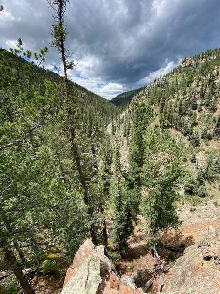 Dívám Zalesněným Kaňonem Pořízen Philmont Scout Ranch Během Letní Sezóny — Stock fotografie