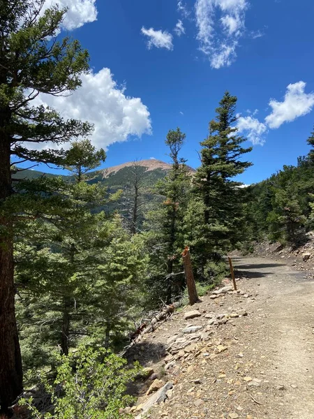 Yavaşça tırmanırken Keltoş Dağı Zirvesi. 2022 Yaz sezonunda Philmont Scout Çiftliğinde çekildi.