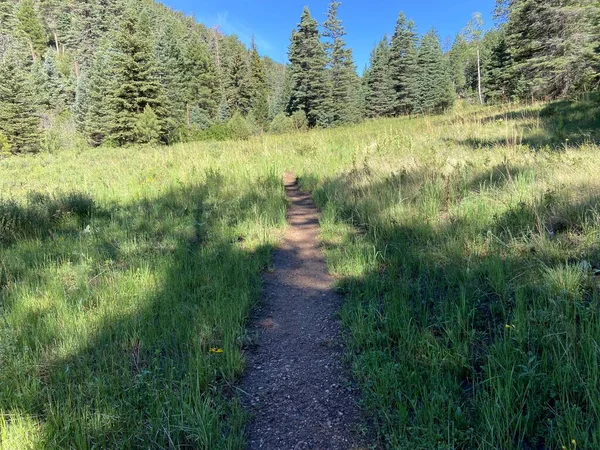 Orman kanyonundaki bir açıklıktan geçen bir iz var. 2022 Yaz sezonunda Philmont Scout Çiftliğinde çekildi.
