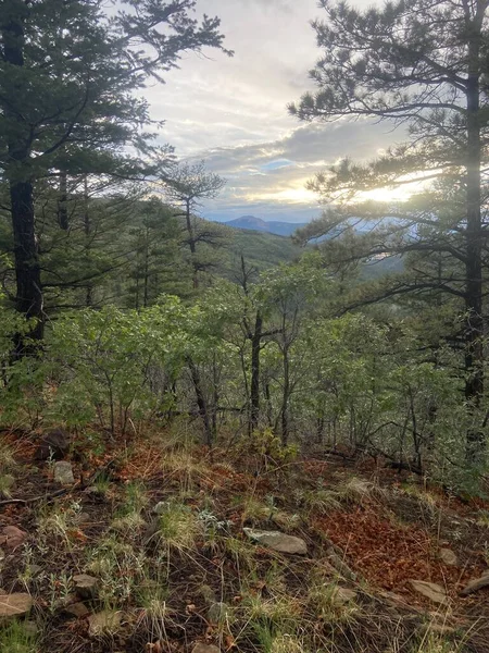 Orman manzarası, arkasında dağlar ve güneş var. 2022 Yaz sezonunda Philmont Scout Çiftliğinde çekildi.
