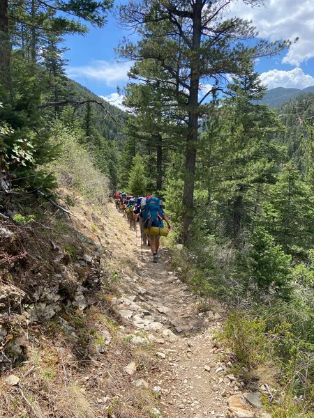 Patika boyunca yürüyüş. 2022 Yaz sezonunda Philmont Scout Çiftliğinde çekildi.