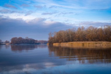 Geçen sonbahar Dinyeper nehrinde çiçek açtı.