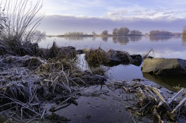 Buz şafak vakti çimenleri kaplar.