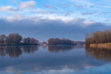 Geçen sonbahar Dinyeper nehrinde çiçek açtı.