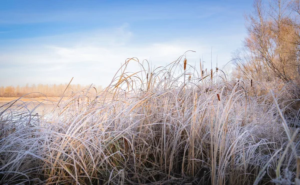 Wird Der Morgendämmerung Eines Neuen Tages Mit Frost Bedeckt Sein — Stockfoto