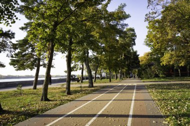 Sonbahar geçici bir mevsimdir. 