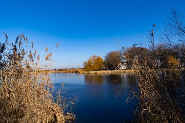 Kremenchuk şehrindeki kiliseye harika bir manzara açılıyor.