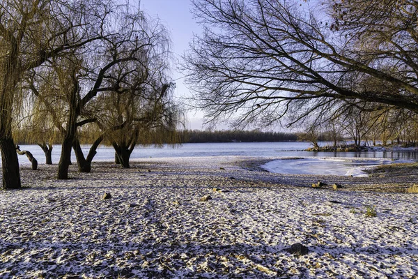 Trees Rays Sun River Winter — Stockfoto